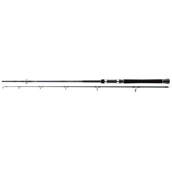 DAIWA Powermesh Catfish Spin, 2 parts, Catfish fishing rod 2.15m / 0g - 160g