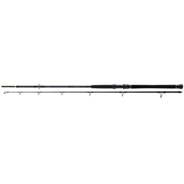 DAIWA Powermesh Catfish Boat PMC 400G, 100-400g, 2 parts, Catfish fishing rod 2.55m / 100g - 400g