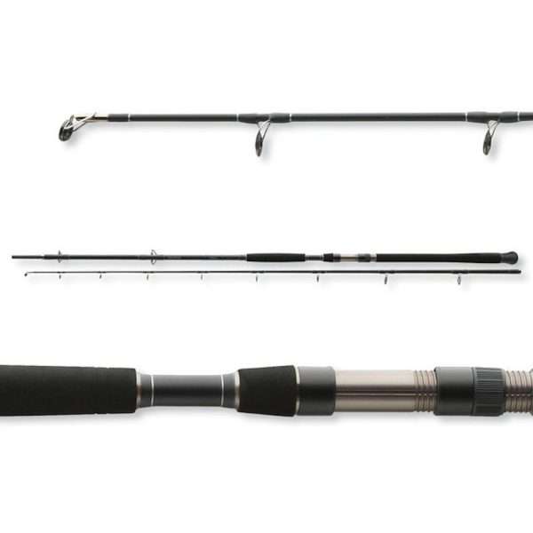 DAIWA Exceler Catfish, 200-600g, 2 parts, Catfish Rod 3m / 200g - 600g
