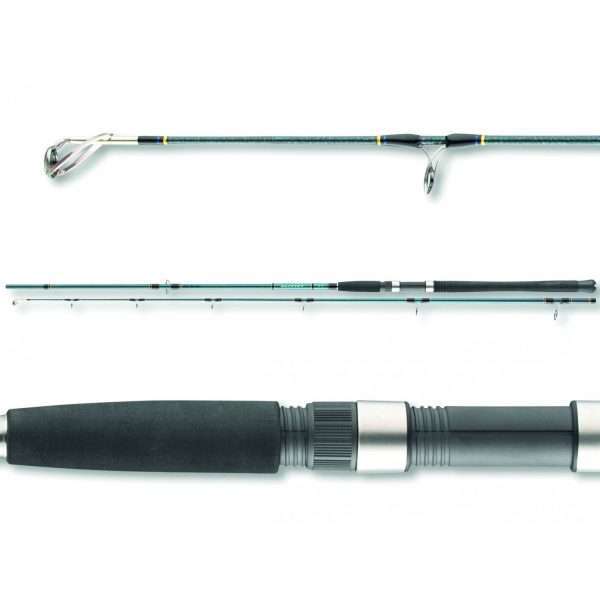 DAIWA Saltist Sea Pilk 2S, 2 parts, pilk rod, EVA handle 2.15m / 80g - 200g
