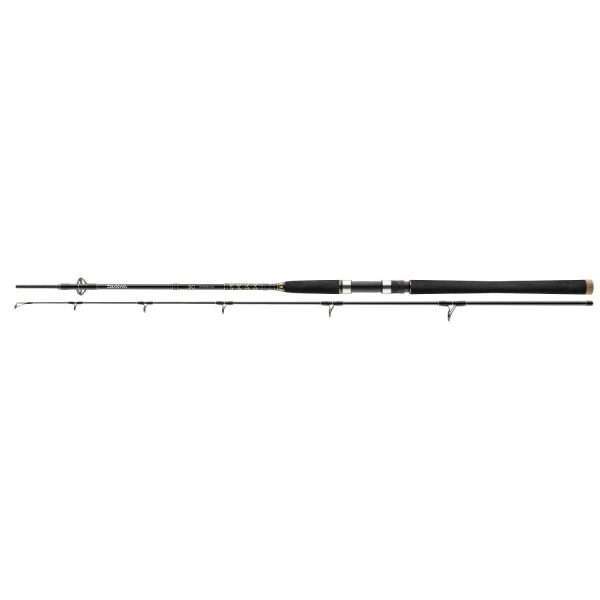 DAIWA BG Offshore Pilk , 2 parts, Pilk fishing rod, EVA handle 2.40m / 40g - 125g