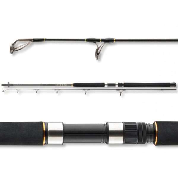 DAIWA BG Popper, 2,3m, 7,54ft, 40-150g, 2 parts, Jigging fishing rod, 11907-235