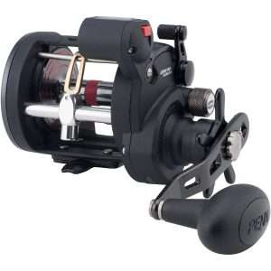 PENN Warfare Level Wind, Trolling Fishing Reel, Star Drag WAR20LWLCLH