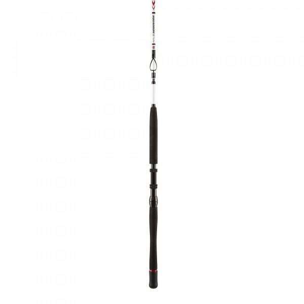 PENN Squadron II Travel Boat, 5 parts, Travel Boat Fishing Rod 30 lbs