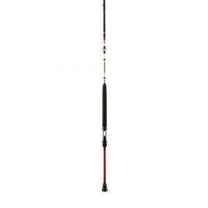 PENN Squadron II Boat, 2 parts, Boat Fishing Rod 30-50 lbs