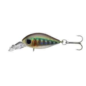 DAIWA Tournament Rolling Crank, Mini Fishing Plug, 2,7cm kibinago