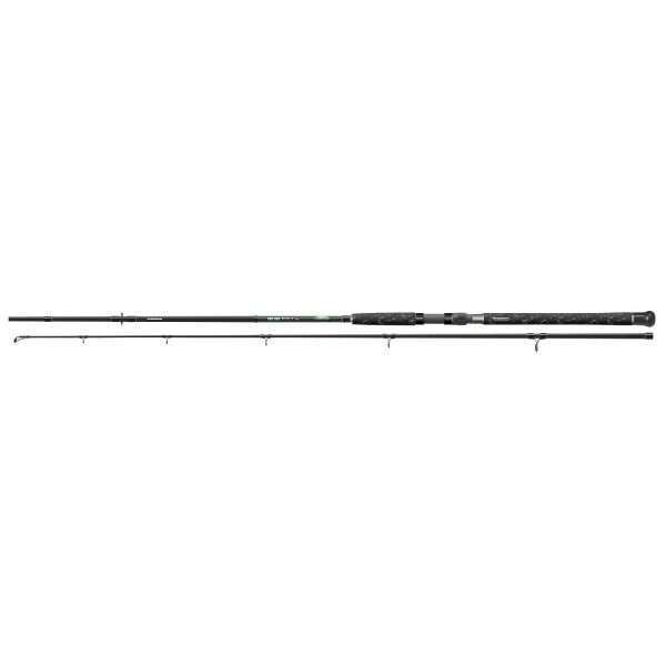 CORMORAN Big Cat Pro, Catfish fishingrod 2.7m / 50g - 180g