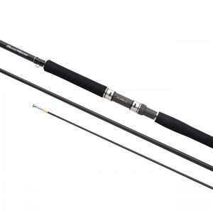 SHIMANO Beastmaster CX Inliner 220H , 2,2m, 7,21ft, 100-250g, 3 parts, Inliner Boots Fishing Rod, BMCXIG220H