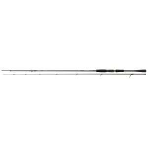 DAIWA Tournament AGS Jiggerspin, 2 parts, Jig-Spinning Fishing Rod 2.2m / 3.5g – 14g