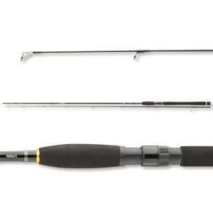 DAIWA Legalis Spin, 2 parts, Spinning Rod 3m / 30g – 60g