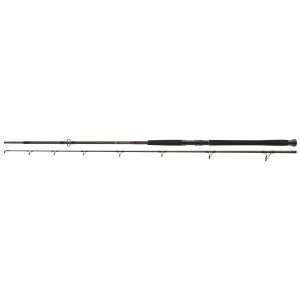 DAIWA Exceler Catfish Boje, 200-600g, 2 parts, Catfish Fishing Rod 2.7m