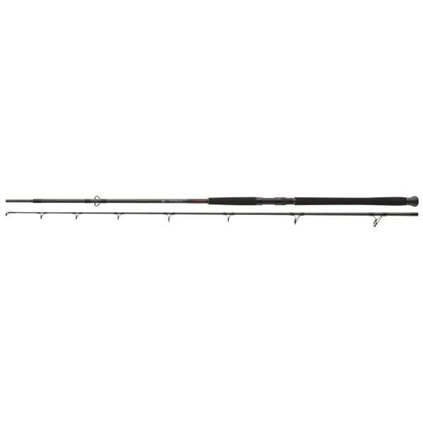 DAIWA Exceler Catfish Boje, 200-600g, 2 parts, Catfish Fishing Rod 2.7m