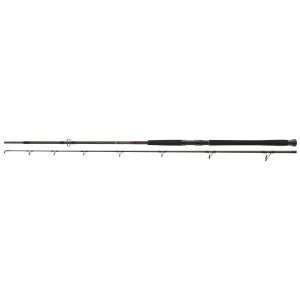 DAIWA Exceler Catfish Boje, 200-600g, 2 parts, Catfish Fishing Rod 3m