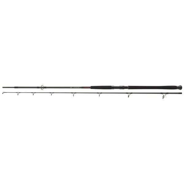DAIWA Exceler Catfish Boje, 200-600g, 2 parts, Catfish Fishing Rod 3m