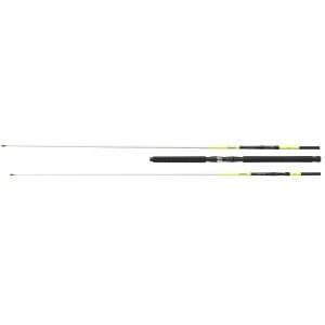 DAIWA Sealine X’Treme Interline, 2 parts, Boat fishing rod 15-30 lbs
