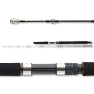 DAIWA BG Sea Jigger, 1,7m, 5,58ft, 150-400g, 2 parts, Jigging fishing rod, 11907-175