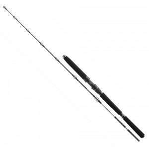Daiwa BG Deep Sea, Boat Rod 2.2m / 150g - 300g