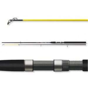 CORMORAN Topfish Eel, Eel fishing rod  2.1m / 50g – 100g
